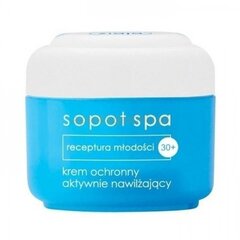 Niisutav näokreem Ziaja Sopot Spa 30+ 50 ml цена и информация | Кремы для лица | hansapost.ee