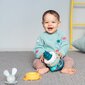Sorteerija-püramiid Jänes Taf Toys цена и информация | Beebide mänguasjad | hansapost.ee