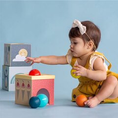 Развивающая игрушка Коробка с шариками Taf Toys цена и информация | Taf Toys Товары для детей и младенцев | hansapost.ee