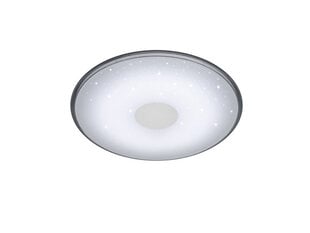 Плафон Shogun LED, белый цена и информация | Потолочные светильники | hansapost.ee