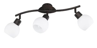 Trio потолочный светильник Freddy цена и информация | Потолочные светильники | hansapost.ee