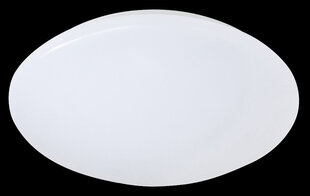 Led plafoonvalgusti Putz II, 27 cm цена и информация | Потолочные светильники | hansapost.ee