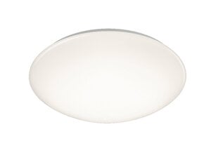 Pollux LED laeplafoon 40 cm valge sis 15W LED 1600Lm IP44 liikumisanduriga цена и информация | Потолочные светильники | hansapost.ee