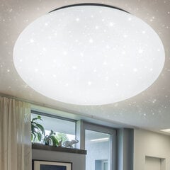 Trio светодиодный потолочный светильник Lukida цена и информация | Потолочные светильники | hansapost.ee
