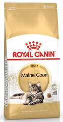 Royal Canin Maine Coon 2 kg hind ja info | Kassi kuivtoit ja kassikrõbinad | hansapost.ee