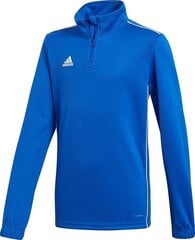 Poiste dressipluus Adidas цена и информация | Свитеры, жилетки, пиджаки для мальчиков | hansapost.ee