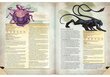 Dungeons & Dragons Monster Manual 5th väljaanne hind ja info | Lauamängud ja mõistatused perele | hansapost.ee