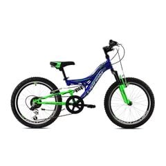 Молодежный велосипед Capriolo CTX 200 синий-зеленый 20 рама 11 цена и информация | Велосипеды | hansapost.ee
