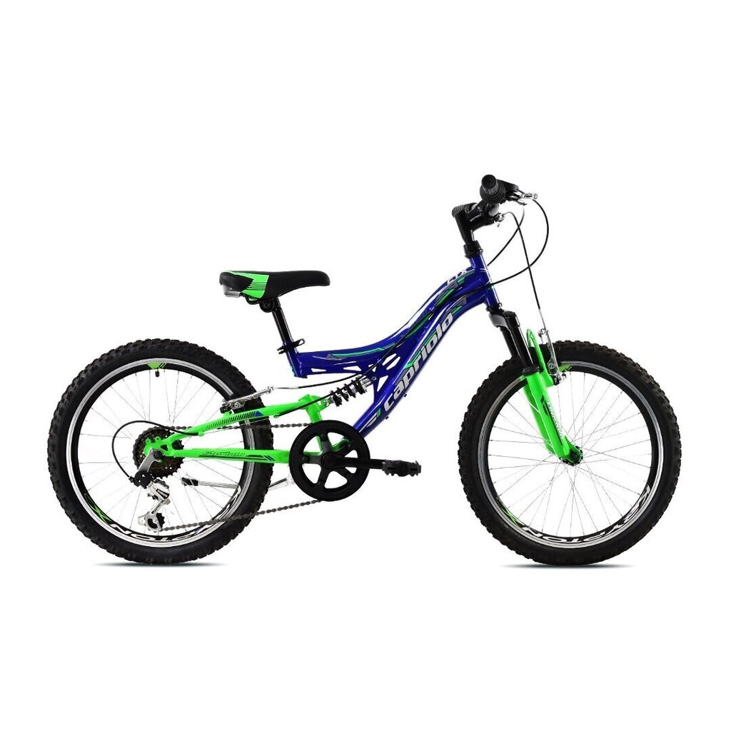 Noorukite jalgratas Capriolo CTX 200 sinine-roheline 20 raam 11 цена и информация | Jalgrattad | hansapost.ee