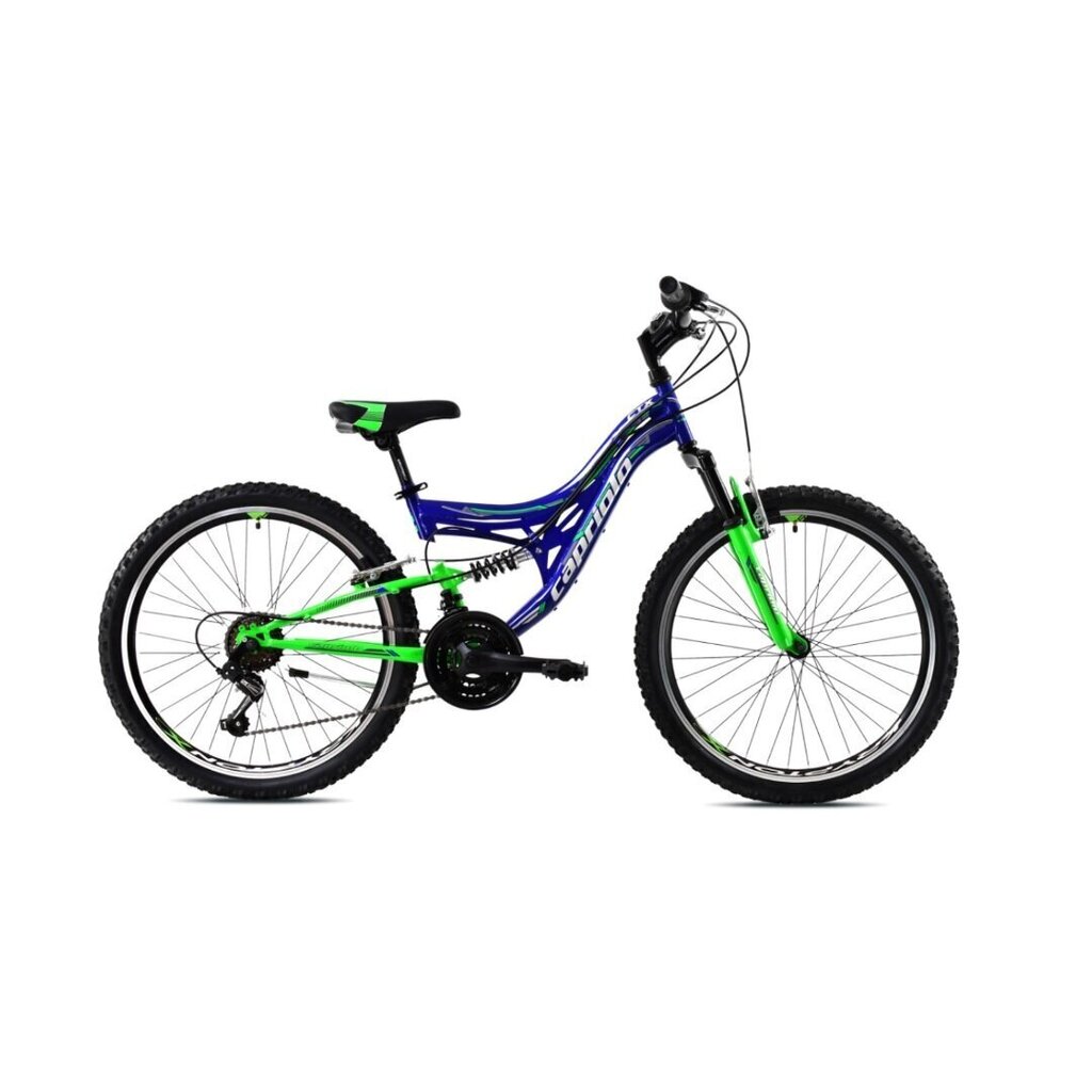 Noorukite jalgratas Capriolo CTX 240 24 sinine-roheline, raam 17 цена и информация | Jalgrattad | hansapost.ee