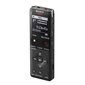 Sony Digital Voice Recorder ICD-UX570 LCD цена и информация | Diktofonid | hansapost.ee