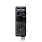 Sony Digital Voice Recorder ICD-UX570 LCD hind ja info | Diktofonid | hansapost.ee