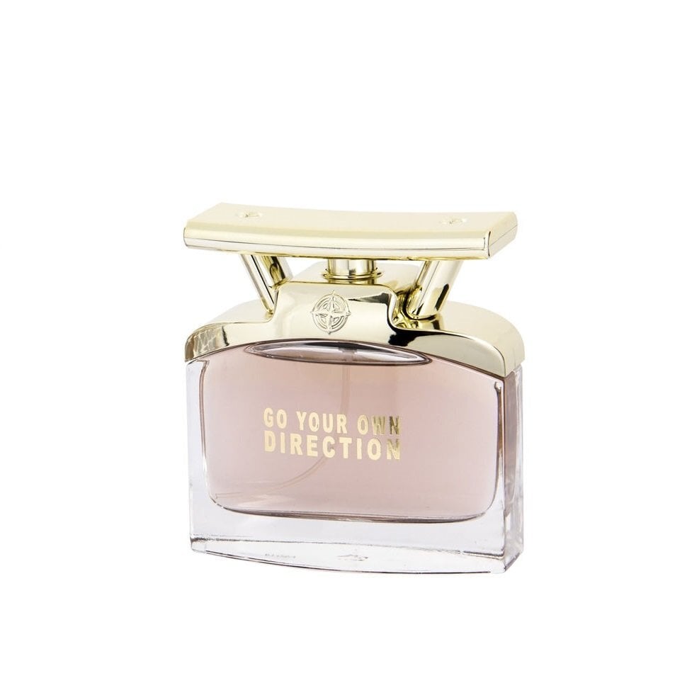 Tualettvesi Georges Mezotti Go Your Own Direction EDT meestele 100 ml hind ja info | Parfüümid naistele | hansapost.ee