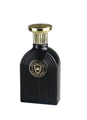 Tualettvesi Omerta Conclude For Men EDT meestele 100 ml цена и информация | Мужские духи | hansapost.ee