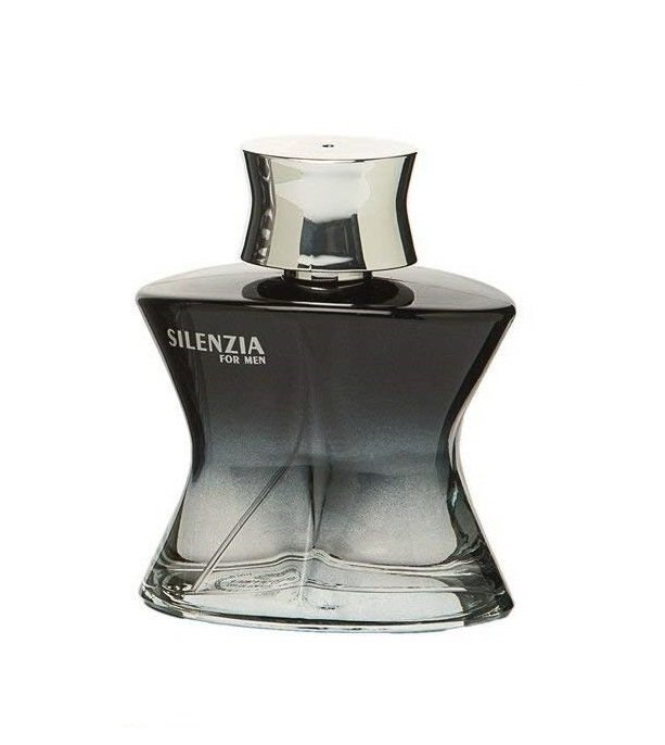 Real Time Silenzia For Men EDT meestele 100 ml hind ja info | Parfüümid meestele | hansapost.ee