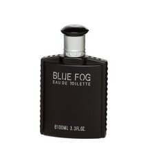 Tualettvesi Real Time Blue Fog EDT meestele 100 ml hind ja info | Parfüümid meestele | hansapost.ee