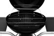 Grill Mustang Austin, 126x62x90 см цена и информация | Grillid | hansapost.ee