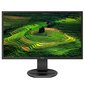 Philips 221B8LHEB/00 цена и информация | Monitorid | hansapost.ee