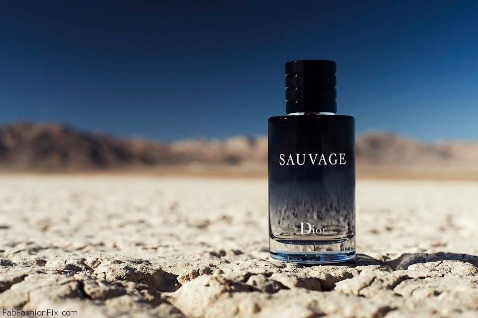 Christian Dior Sauvage EDT meestele 100 ml hind ja info | Parfüümid meestele | hansapost.ee