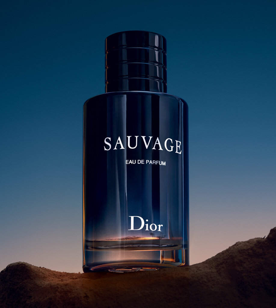 Christian Dior Sauvage EDT meestele 100 ml цена и информация | Parfüümid meestele | hansapost.ee