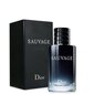 Christian Dior Sauvage EDT meestele 100 ml hind ja info | Parfüümid meestele | hansapost.ee