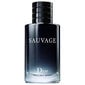 Christian Dior Sauvage EDT meestele 100 ml цена и информация | Parfüümid meestele | hansapost.ee