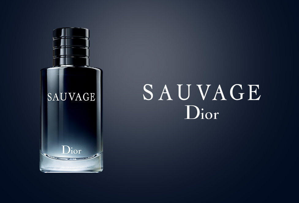 Christian Dior Sauvage EDT meestele 100 ml цена и информация | Parfüümid meestele | hansapost.ee