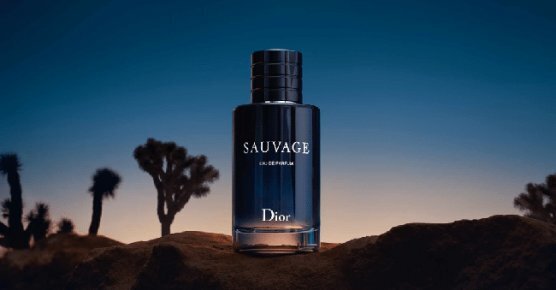 Christian Dior Sauvage EDT meestele 100 ml цена и информация | Parfüümid meestele | hansapost.ee