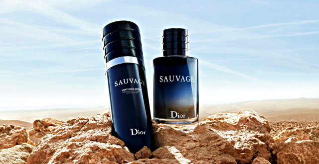 Christian Dior Sauvage EDT meestele 100 ml hind ja info | Parfüümid meestele | hansapost.ee