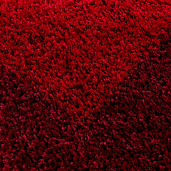 Vaip Ayyildiz LIFE red, 160X230 cm price and information | Vaibad | hansapost.ee