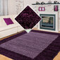 Vaip Ayyildiz LIFE lila, 60x110 cm hind ja info | Vaibad | hansapost.ee