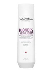 Goldwell Dualsenses Blondes & HighLights šampoon 250ml hind ja info | Goldwell Parfüümid, lõhnad ja kosmeetika | hansapost.ee