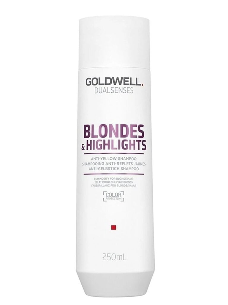 Goldwell Dualsenses Blondes & HighLights šampoon 250ml hind ja info | Šampoonid | hansapost.ee