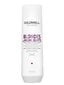 Goldwell Dualsenses Blondes & HighLights šampoon 250ml hind ja info | Šampoonid | hansapost.ee