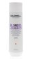 Goldwell Dualsenses Blondes & HighLights šampoon 250ml hind ja info | Šampoonid | hansapost.ee