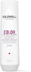 Шампунь для окрашенных волос Goldwell Dualsenses Brilliance Color Shampoo 250 мл цена и информация | Шампуни | hansapost.ee