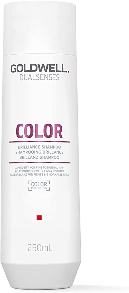 Šampoon värvitud juustele Goldwell Dualsenses Brilliance Color Shampoo 250ml hind ja info | Šampoonid | hansapost.ee