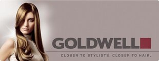 Goldwell Dualsenses Blondes & Highlights kollast tooni neutraliseeriv šampoon 1000 ml hind ja info | Šampoonid | hansapost.ee
