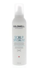 Vaht-šampoon tundlikule peanahale Goldwell Dualsenses Scalp Specialist Sensitive 250 ml hind ja info | Šampoonid | hansapost.ee