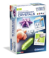Творческий набор "Создай кристалл" Clementoni Science & Play, 50575 цена и информация | Clementoni Товары для детей и младенцев | hansapost.ee