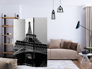 Ruumijaotur - Paris Giant [Room Dividers] hind ja info | Sirmid ja vaheseinad | hansapost.ee
