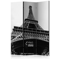 Ruumijaotur - Paris Giant [Room Dividers] hind ja info | Sirmid ja vaheseinad | hansapost.ee