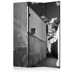 Ruumijaotur - Narrow Street [Room Dividers] hind ja info | Sirmid ja vaheseinad | hansapost.ee