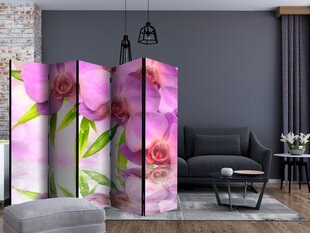 Ruumijaotur - Orchid Spa II [Room Dividers] hind ja info | Sirmid ja vaheseinad | hansapost.ee