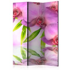 Ширма Orchid Spa цена и информация | Мобильные стенки | hansapost.ee