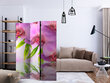 Ruumijaotur - Orchid Spa [Room Dividers] hind ja info | Sirmid ja vaheseinad | hansapost.ee