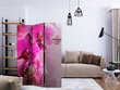 Ruumijaotur - Pink Orchid [Room Dividers] hind ja info | Sirmid ja vaheseinad | hansapost.ee