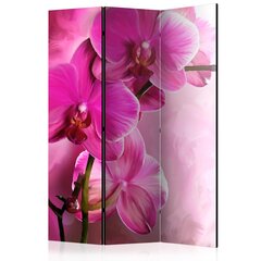 Ширма Pink orchid цена и информация | Мобильные стенки | hansapost.ee