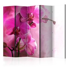 Ruumijaotur - Pink Orchid II [Room Dividers] hind ja info | Sirmid ja vaheseinad | hansapost.ee