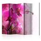 Ruumijaotur - Pink Orchid II [Room Dividers] hind ja info | Sirmid ja vaheseinad | hansapost.ee